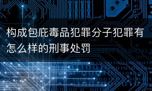 构成包庇毒品犯罪分子犯罪有怎么样的刑事处罚