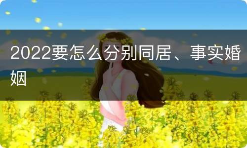 2022要怎么分别同居、事实婚姻
