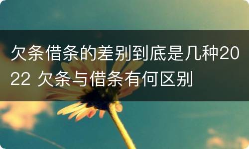 欠条借条的差别到底是几种2022 欠条与借条有何区别