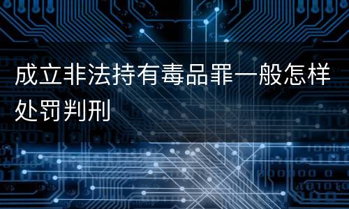 成立非法持有毒品罪一般怎样处罚判刑