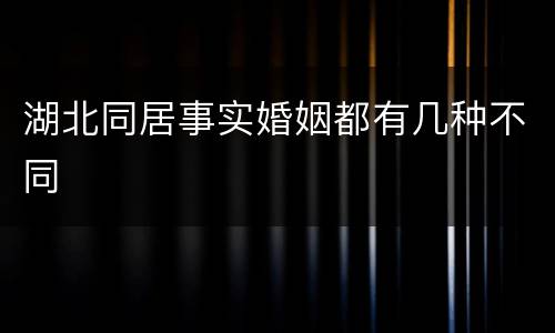 湖北同居事实婚姻都有几种不同