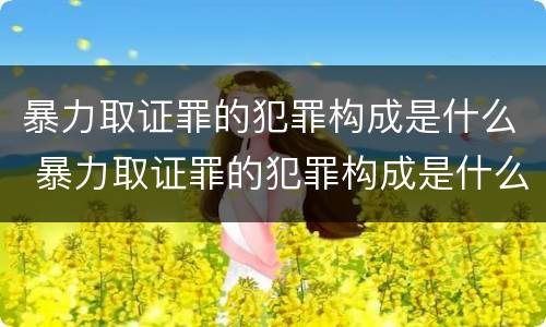 暴力取证罪的犯罪构成是什么 暴力取证罪的犯罪构成是什么