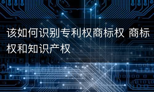 该如何识别专利权商标权 商标权和知识产权