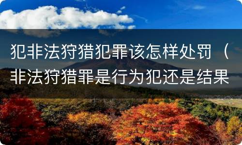 犯非法狩猎犯罪该怎样处罚（非法狩猎罪是行为犯还是结果犯）