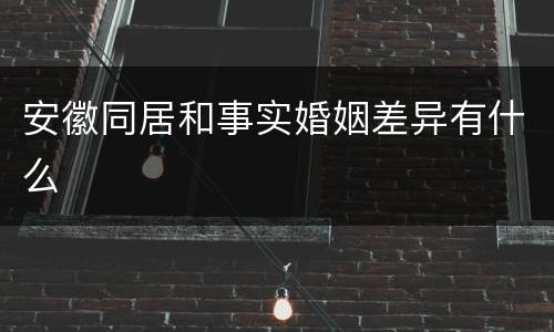 安徽同居和事实婚姻差异有什么