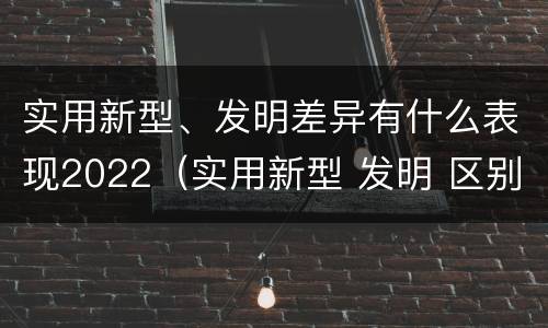 实用新型、发明差异有什么表现2022（实用新型 发明 区别）