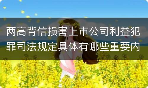 两高背信损害上市公司利益犯罪司法规定具体有哪些重要内容