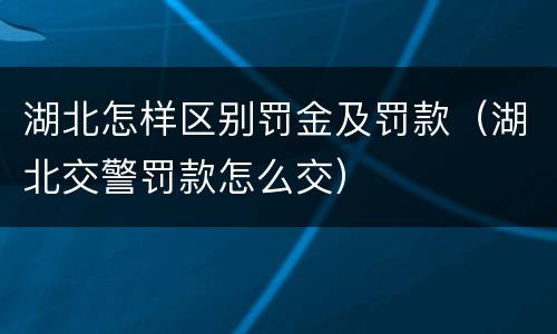 湖北怎样区别罚金及罚款（湖北交警罚款怎么交）