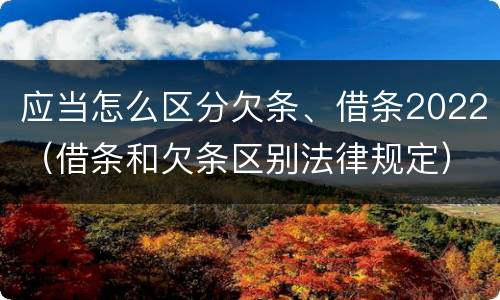 应当怎么区分欠条、借条2022（借条和欠条区别法律规定）