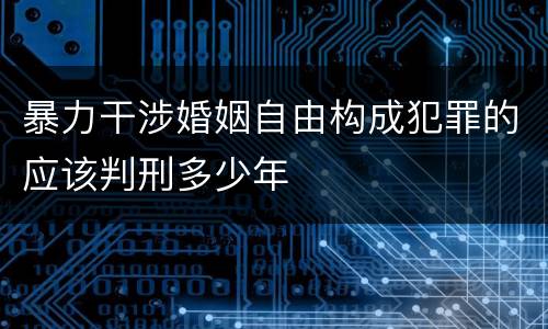 暴力干涉婚姻自由构成犯罪的应该判刑多少年