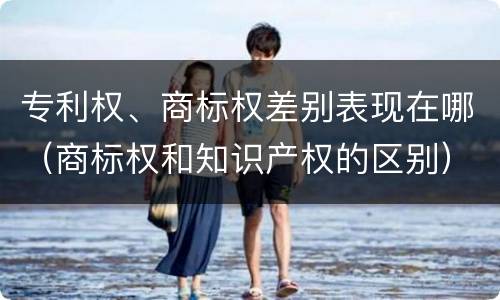 专利权、商标权差别表现在哪（商标权和知识产权的区别）