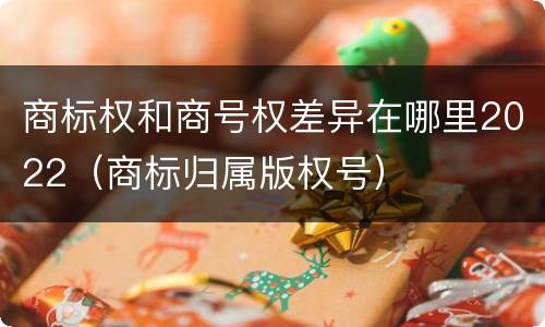 商标权和商号权差异在哪里2022（商标归属版权号）