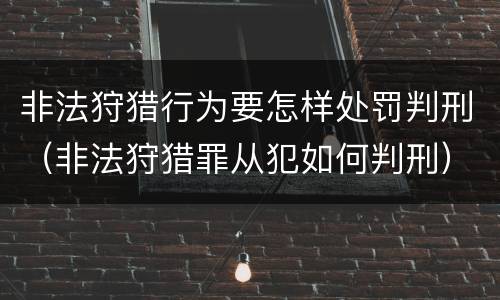 非法狩猎行为要怎样处罚判刑（非法狩猎罪从犯如何判刑）