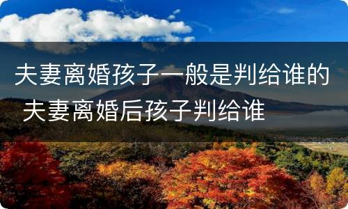 夫妻离婚孩子一般是判给谁的 夫妻离婚后孩子判给谁