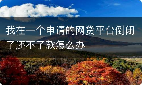 我在一个申请的网贷平台倒闭了还不了款怎么办