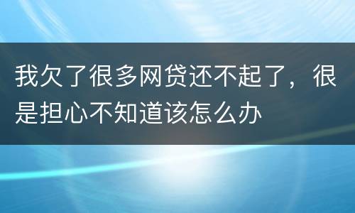 我欠了很多网贷还不起了，很是担心不知道该怎么办