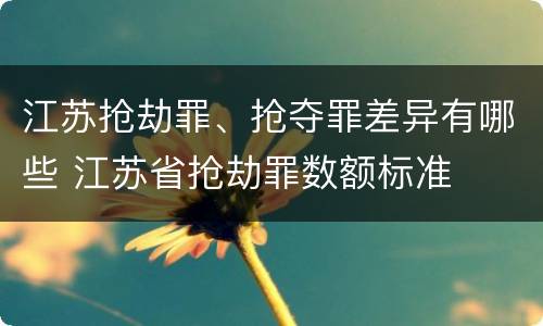 江苏抢劫罪、抢夺罪差异有哪些 江苏省抢劫罪数额标准
