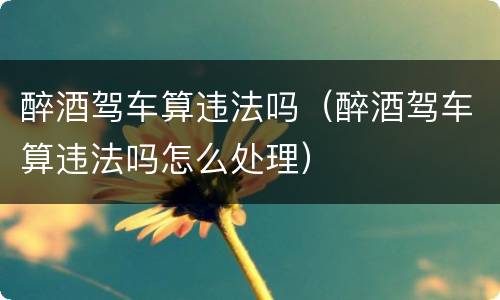 醉酒驾车算违法吗（醉酒驾车算违法吗怎么处理）