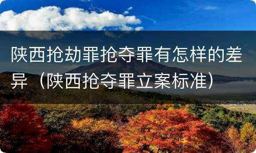陕西抢劫罪抢夺罪有怎样的差异（陕西抢夺罪立案标准）