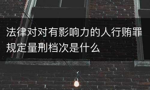 法律对对有影响力的人行贿罪规定量刑档次是什么