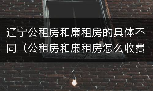 辽宁公租房和廉租房的具体不同（公租房和廉租房怎么收费）