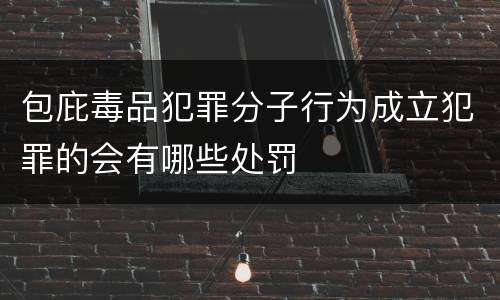 包庇毒品犯罪分子行为成立犯罪的会有哪些处罚