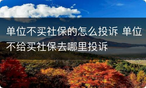 单位不买社保的怎么投诉 单位不给买社保去哪里投诉