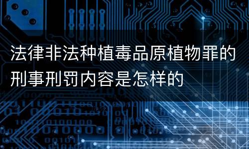 法律非法种植毒品原植物罪的刑事刑罚内容是怎样的