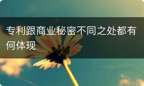 专利跟商业秘密不同之处都有何体现