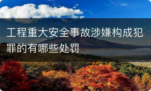 工程重大安全事故涉嫌构成犯罪的有哪些处罚