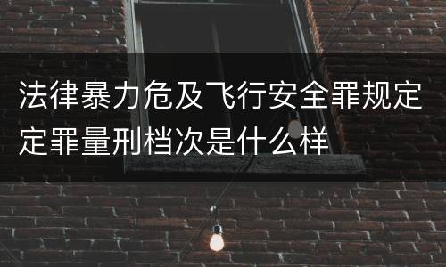 法律暴力危及飞行安全罪规定定罪量刑档次是什么样
