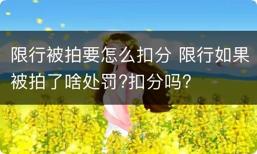 限行被拍要怎么扣分 限行如果被拍了啥处罚?扣分吗?