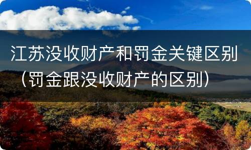 江苏没收财产和罚金关键区别（罚金跟没收财产的区别）