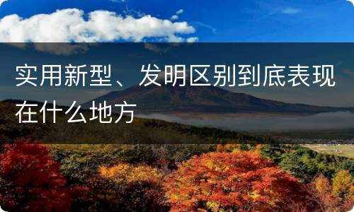 实用新型、发明区别到底表现在什么地方