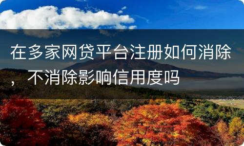在多家网贷平台注册如何消除，不消除影响信用度吗