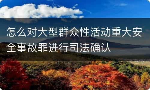 怎么对大型群众性活动重大安全事故罪进行司法确认