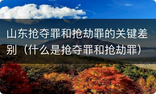 山东抢夺罪和抢劫罪的关键差别（什么是抢夺罪和抢劫罪）