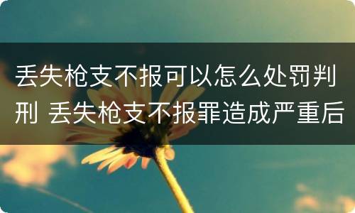 丢失枪支不报可以怎么处罚判刑 丢失枪支不报罪造成严重后果