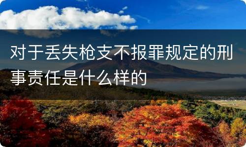 对于丢失枪支不报罪规定的刑事责任是什么样的