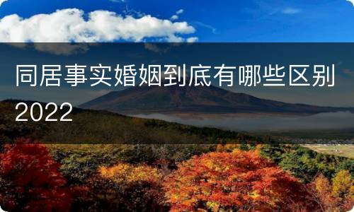 同居事实婚姻到底有哪些区别2022
