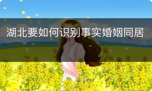 湖北要如何识别事实婚姻同居
