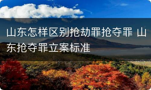 山东怎样区别抢劫罪抢夺罪 山东抢夺罪立案标准