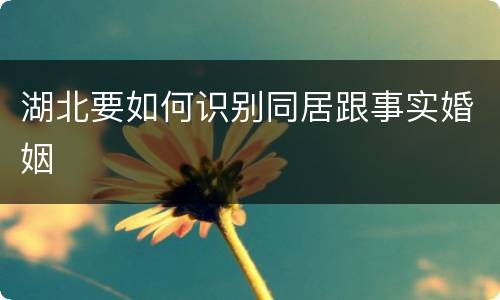 湖北要如何识别同居跟事实婚姻