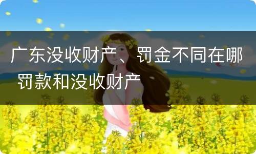 广东没收财产、罚金不同在哪 罚款和没收财产