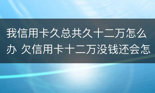 我信用卡久总共久十二万怎么办 欠信用卡十二万没钱还会怎么样