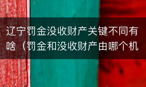 辽宁罚金没收财产关键不同有啥（罚金和没收财产由哪个机关执行）