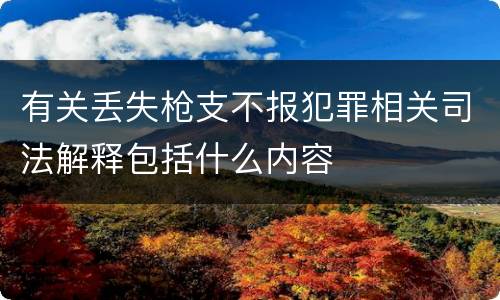 有关丢失枪支不报犯罪相关司法解释包括什么内容