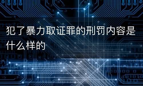 犯了暴力取证罪的刑罚内容是什么样的