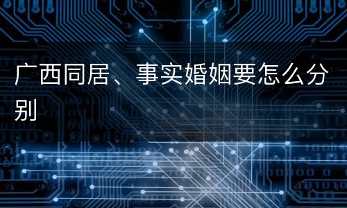 广西同居、事实婚姻要怎么分别