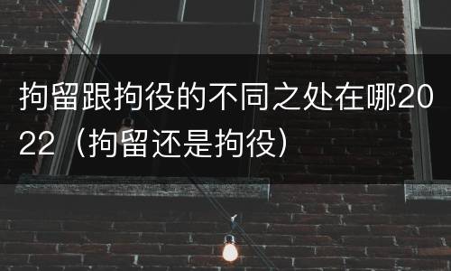 拘留跟拘役的不同之处在哪2022（拘留还是拘役）